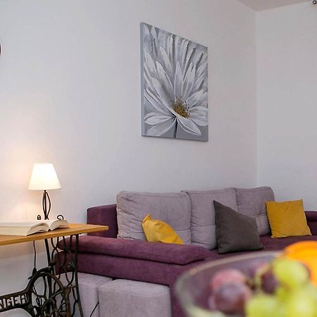 Apartment Sweet Daisy With Parking Zadar Extérieur photo